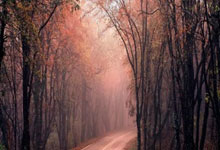 开云官方app入口-G2险胜SHR，369团战一打五全球总决赛2:1